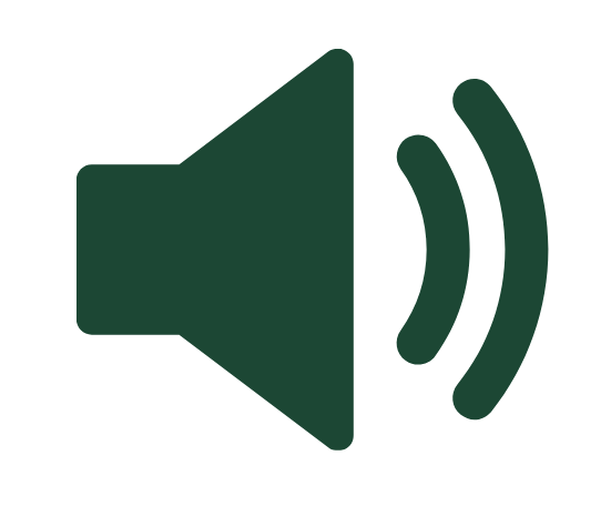 Volume Icon
